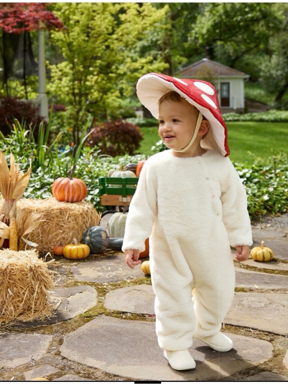 Pottery Barn Kids Cream Plush Mushroom Costume with Red Hat